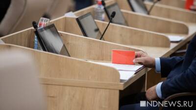 Казус в ЕГД: депутаты голосуют карточками при работающей электронной системе - newdaynews.ru - Екатеринбург