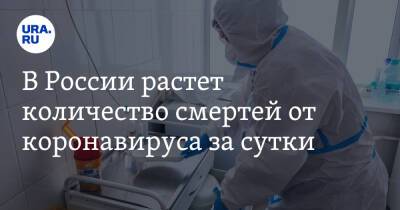 В России растет количество смертей от коронавируса за сутки - ura.news - Россия