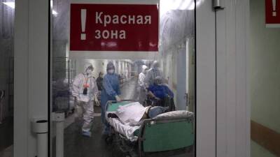 Владимир Чуланов - В РФ развернули более 300 тыс. больничных коек для пациентов с COVID-19 - iz.ru - Россия - Израиль