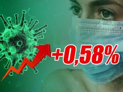 Динамика коронавируса на 9 ноября: новый максимум смертей - bloknot.ru - Россия - Москва