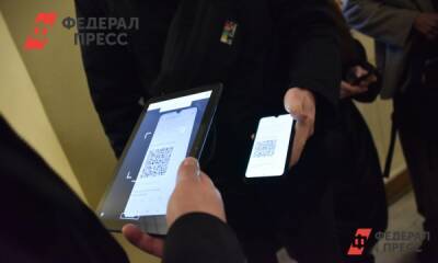 Дмитрий Песков - В Кремле отреагировали на идею ввести QR-коды в общественном транспорте - fedpress.ru - Россия - Москва