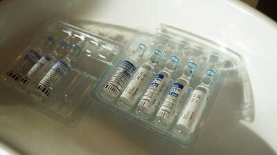 Михаил Мишустин - Российские регионы получили почти 80 млн доз вакцин от COVID-19 - iz.ru - Россия - Израиль