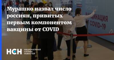 Михаил Мурашко - Мурашко назвал число россиян, привитых первым компонентом вакцины от COVID - nsn.fm - Россия