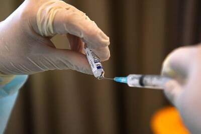 Михаил Мурашко - Мурашко рассказал о получивших первый компонент вакцины от COVID-19 россиянах - lenta.ru - Россия