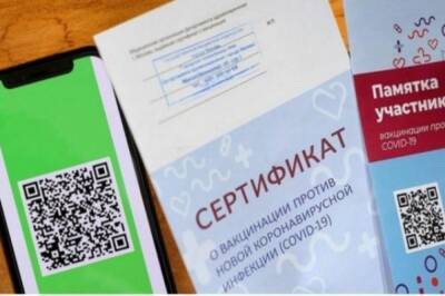 Михаил Мишустин - Бумажный сертификат о вакцинации от коронавируса можно будет получить в МФЦ - aif.ru - Россия