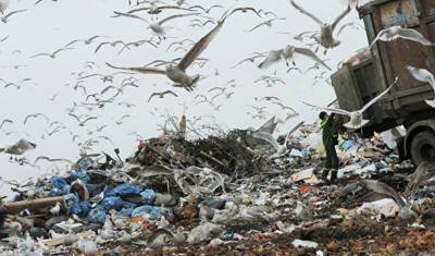 Главными врагами экологии названы мусор и транспорт - newizv.ru