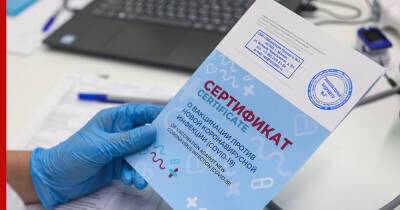 Михаил Мишустин - Как получить бумажный сертификат о вакцинации от COVID-19, рассказали в правительстве - profile.ru - Россия