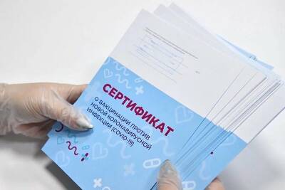 Михаил Мишустин - Мишустин назвал россиянам дату и место получения бумажных сертификатов о вакцинации от COVID-19 - bloknot.ru - Россия