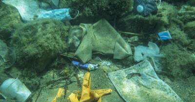 Ученые: более 25 тысяч тонн пластика оказались в океане из-за пандемии - ren.tv