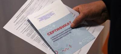 Михаил Мишустин - Бумажные сертификаты вакцинации от коронавируса можно будет получить в МФЦ - stolicaonego.ru - Россия
