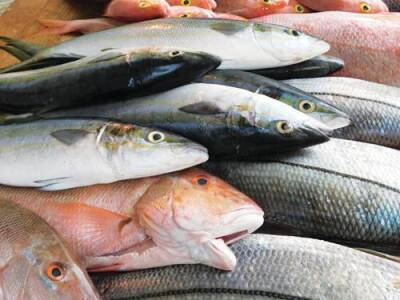 В Китае сохраняется запрет на ввоз рыбной продукции из России - argumenti.ru - Россия - Китай