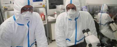 Энтони Фаучи - Новый штамм коронавируса «омикрон» в США пока не выявлен - runews24.ru - Сша