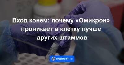 Вход конем: почему «Омикрон» проникает в клетку лучше других штаммов - news.mail.ru