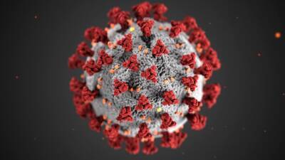 Вспышка коронавируса произошла в ЮАР после выявления нового штамма "Омикрон" - news.vse42.ru - Юар