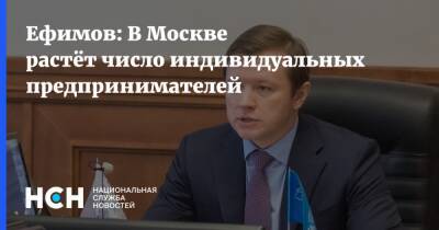 Владимир Ефимов - Ефимов: В Москве растёт число индивидуальных предпринимателей - nsn.fm - Москва
