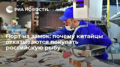 Порт на замок: почему китайцы отказываются покупать российскую рыбу - smartmoney.one - Россия - Китай
