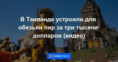 В Таиланде устроили для обезьян пир за три тысячи долларов (видео) - news.mail.ru - Таиланд