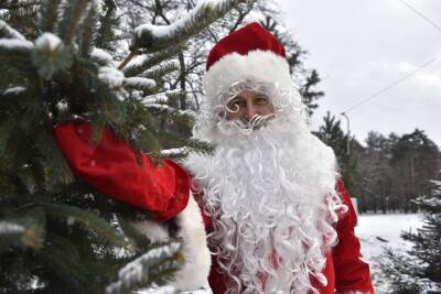 Столичная усадьба Деда Мороза открылась для посетителей в формате COVID-free - vm.ru - Москва