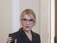 «Батькивщина» направит в КС представление о неконституционности «ресурсного» закона - goodnews.ua