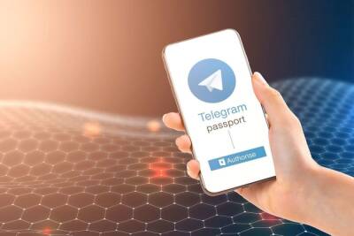 В Telegram появился канал для борьбы с антипрививочниками - spb.mk.ru