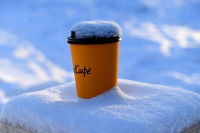 Цены на кофе достигли максимума с 2011 года - govoritmoskva.ru - Нью-Йорк