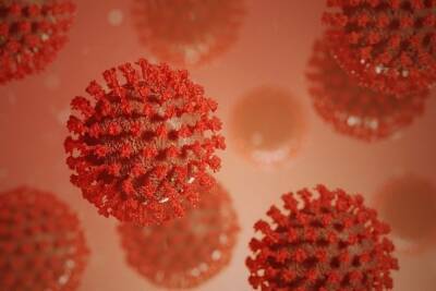 В Китае нашли универсальное антитело против всех штаммов коронавируса - mk.ru - Китай