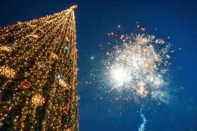Торжества на главной Новогодней елке Кабардино-Балкарии отменили из-за коронавируса - interfax-russia.ru - республика Кабардино-Балкария - Нальчик