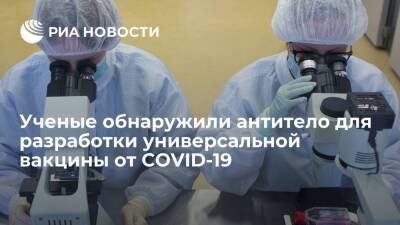 Китайские ученые обнаружили антитело для разработки универсальной вакцины от COVID-19 - ria.ru - Китай - Юар