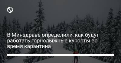 Игорь Кузин - В Минздраве определили, как будут работать горнолыжные курорты во время карантина - liga.net - Украина
