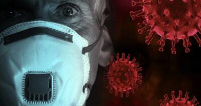 В Японии создали светящуюся при контакте со следами коронавируса маску - ren.tv - Япония
