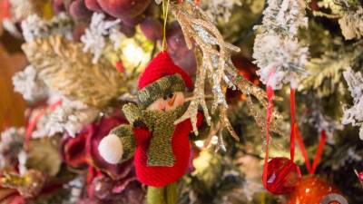 Эксперты рассказали об ошибках при украшении новогодней елки - mir24.tv - Англия