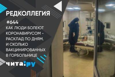 Как люди болеют коронавирусом и сколько вакцинированных в горбольнице - chita.ru - Чита
