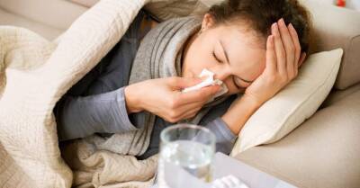 Уга Думпис - В ноябре в Латвии клинически подтвержден первый в этом сезоне случай гриппа - rus.delfi.lv - Латвия