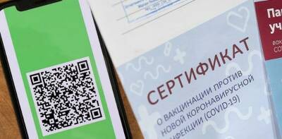 Сотни предпринимателей Владимирской области подписали петицию против QR-кодов - runews24.ru - Владимирская обл.