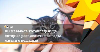 10+ навыков котовладельца, которые развиваются загоды жизни скошками - ridus.ru