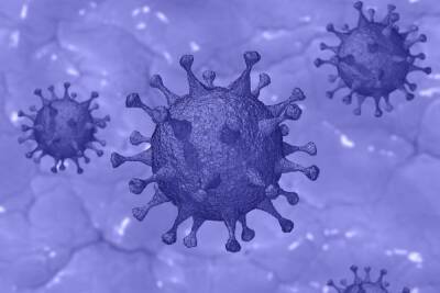 Иммунолог объяснил большое количество мутаций коронавируса - abnews.ru
