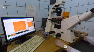 Александр Гинцбург - Российские ученые получили образец «омикрон»-штамма коронавируса - mir24.tv - Юар - Ботсвана