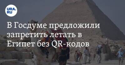 Сергей Кривоносов - В Госдуме предложили запретить летать в Египет без QR-кодов - ura.news - Египет
