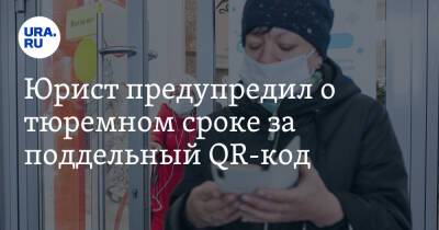 Юрист предупредил о тюремном сроке за поддельный QR-код - ura.news - Москва
