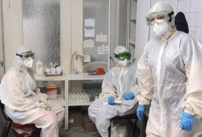 В России провели более 231 млн тестов на коронавирус - govoritmoskva.ru - Россия - Санкт-Петербург - Москва - Московская обл.