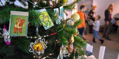 Эксперт рассказала, как выбрать новогоднюю елку, если в доме кошка - yur-gazeta.ru