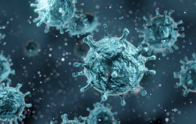 Омикрон-штамм коронавируса менее опасный, чем «Дельта» – ВОЗ - news-front.info