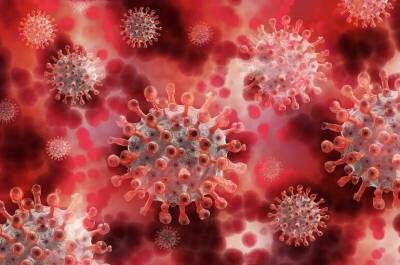 ВОЗ считает штамм коронавируса «омикрон» менее опасным, чем «дельта» - pnp.ru - Россия