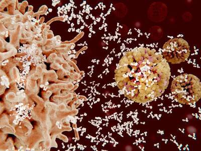 Ученые выяснили, сколько сохраняется иммунитет к коронавирусу: новые данные и мира - cursorinfo.co.il