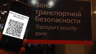 Минтранс заявил о дальнейшей проработке закона о QR-кодах на транспорте - iz.ru - Россия - Израиль