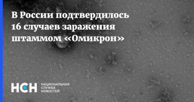Татьяна Голикова - В России подтвердилось 16 случаев заражения штаммом «Омикрон» - nsn.fm - Россия - Юар