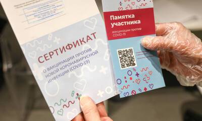Татьяна Голикова - Привитые импортными вакцинами от COVID-19 россияне смогут получить QR-коды - og.ru - Сербия