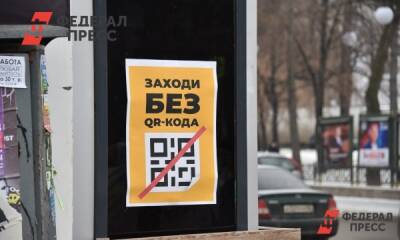 Какова дальнейшая судьба законопроекта о QR-кодах - fedpress.ru - Россия
