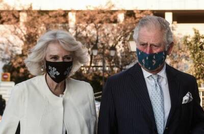 принц Чарльз - Камилла - Принц Чарльз и его супруга Камилла предстали в защитных масках на новой рождественской открытке - argumenti.ru