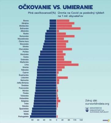 Словаки сделали классную инфографику по COVID-19 - skuke.net - Белоруссия